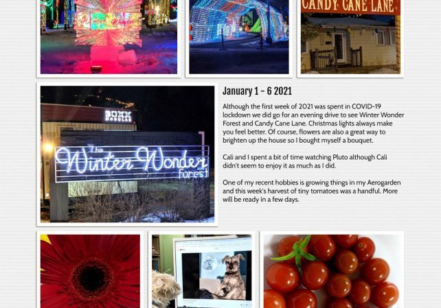 January-2021-Week-One-1