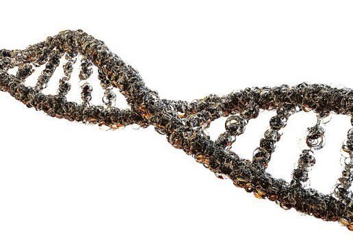 dna-free-image-1