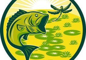 largemouth-bass-jumping-with-dragonfly_zklgzduo-1