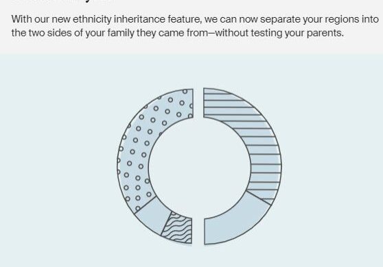 parental-ethnicity
