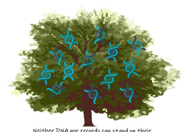 records-and-dna-1