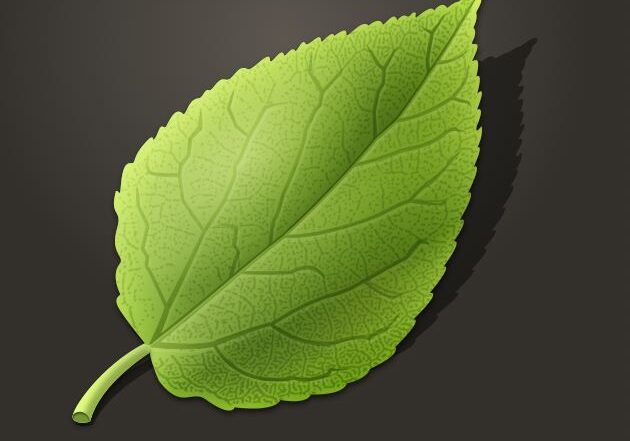 shaky-leafe